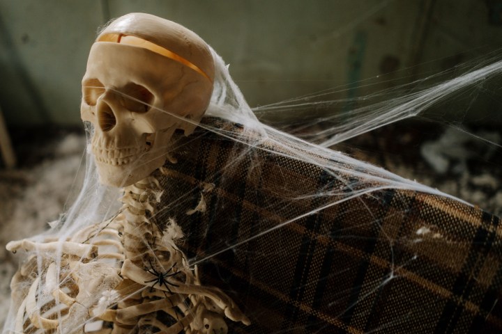 Skeleton with cobwebs sitting on a plaid chair indoors.